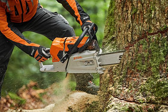 Pilarka STIHL MS881 podczas cięcia
